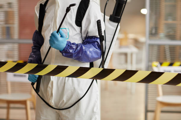 Professional Blood Cleanup technician working in Coldspring, TX
